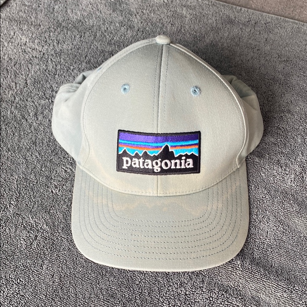 Patagonia Blue Hat Classic 6-Panel Design